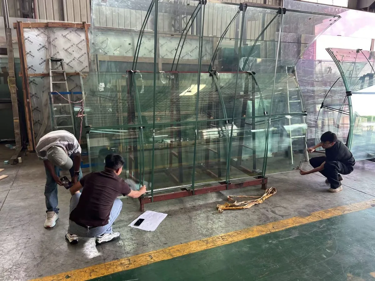 Curved tempered laminated glass